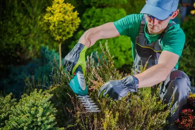 landscaping services Abita Springs